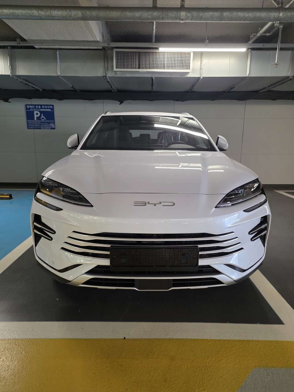 BYD 씨라이언 6 DM-i 충전, 꼭 해야 할까? EV 주행거리 70km 활용법