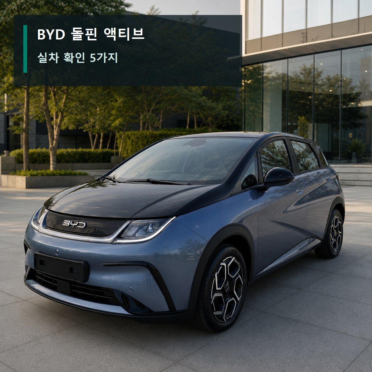 BYD 돌핀 액티브 실차, 계약·출고 전 먼저 확인할 5가지