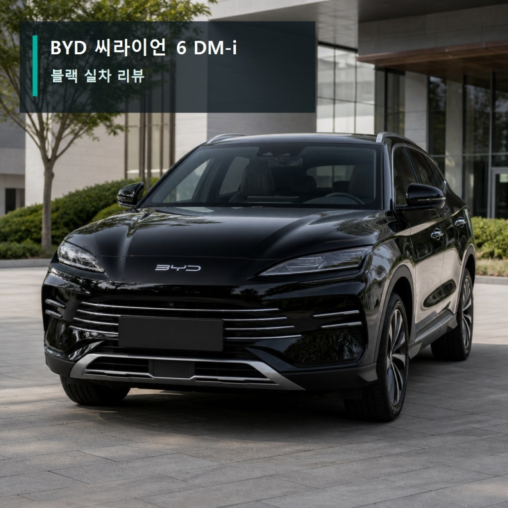 BYD 씨라이언 6 DM-i 블랙 실차 사진 | 외관·실내·2열 확인 포인트