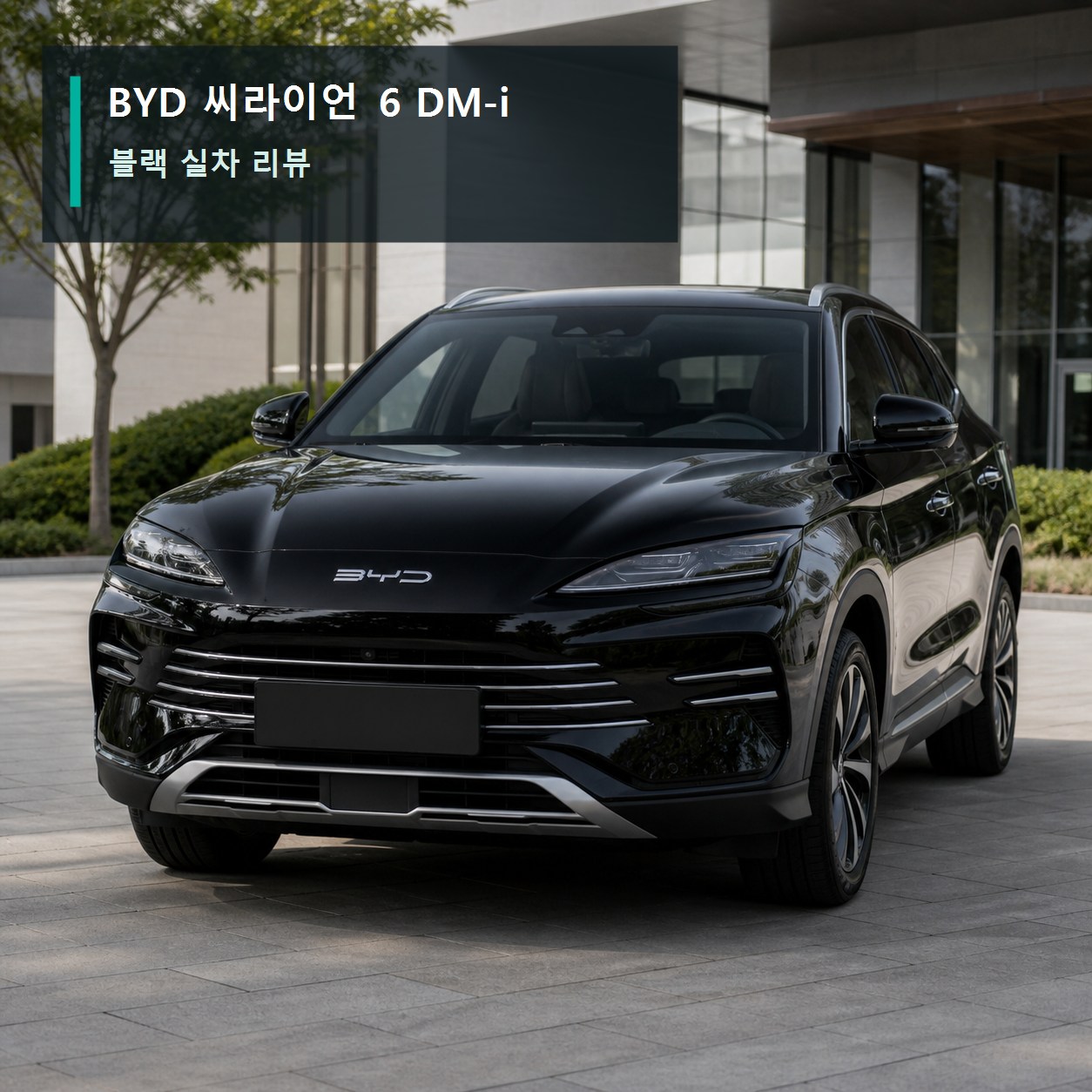 BYD 씨라이언 6 DM-i 블랙 실차 사진 | 외관·실내·2열 확인 포인트