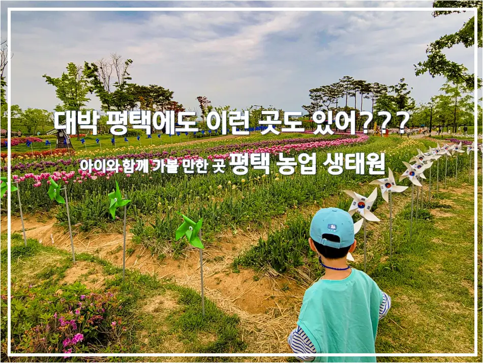 대박 평택에도 이런 곳도 있어? 아이와 함께 가볼 만한 곳 평택 농업 생태원